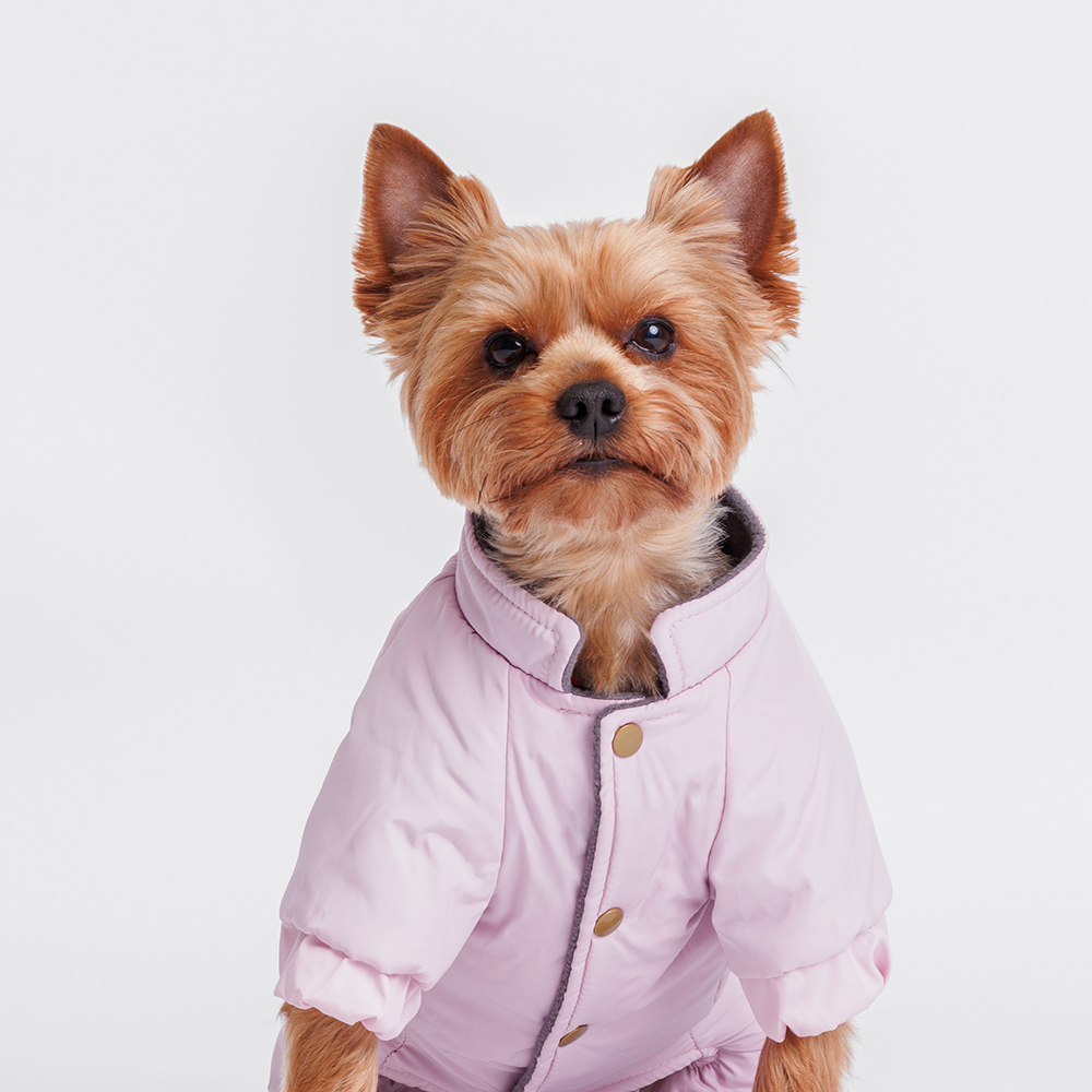

Petmax Комбинезон с кармашком для собак, 4XL, фиолетовый (девочка)