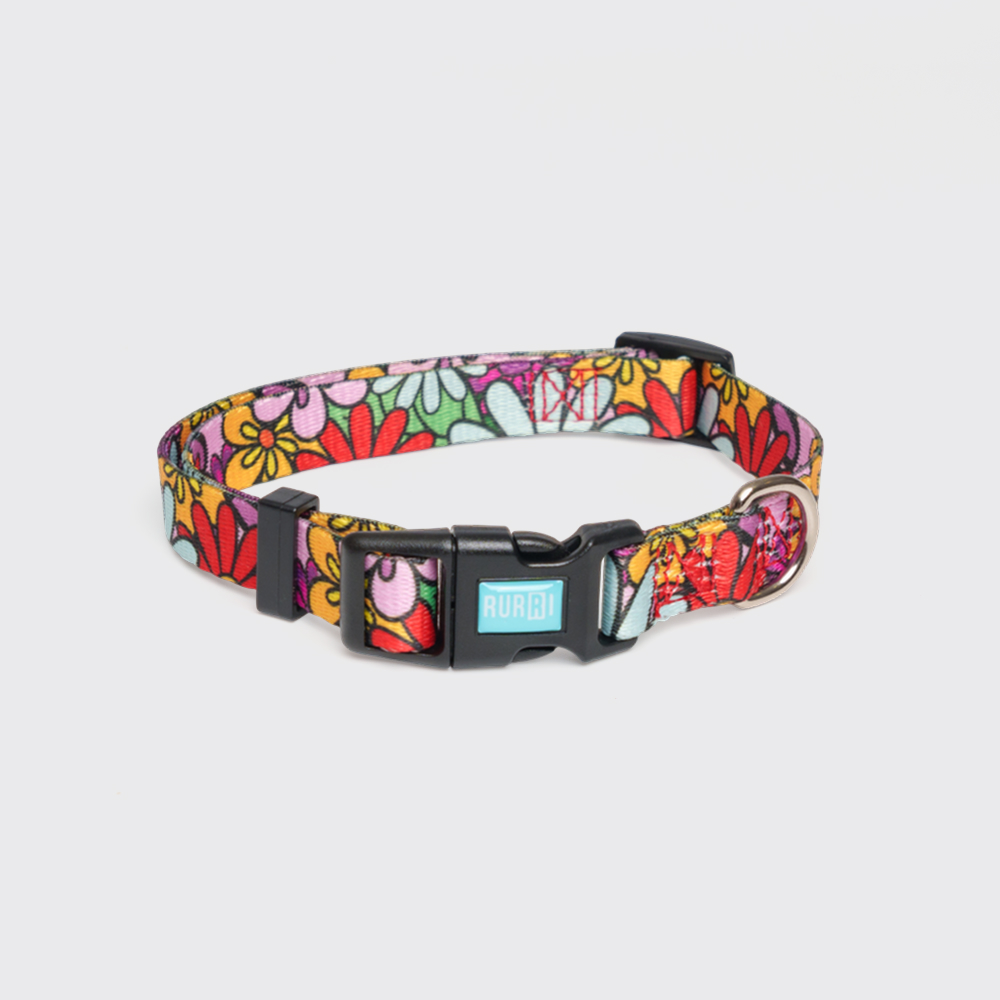 Rurri Ошейник Flower Power 15mm30-45сm 299₽