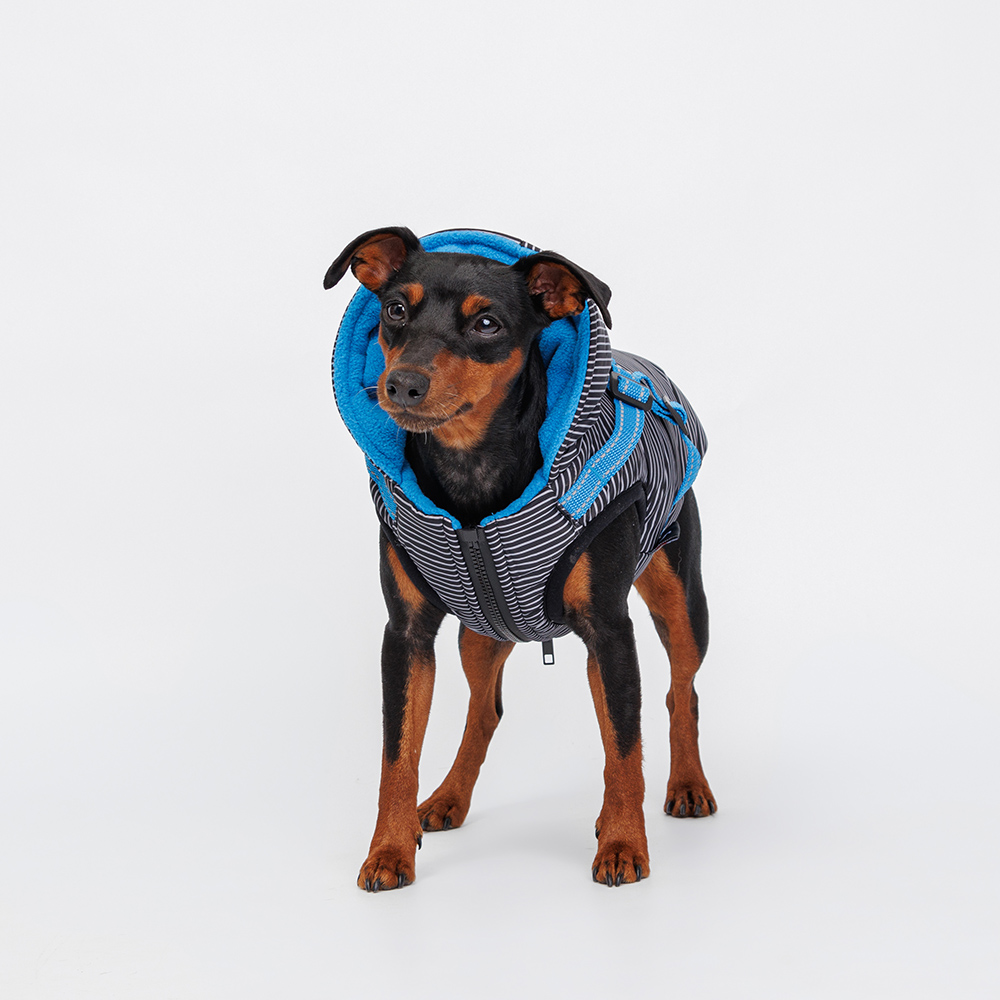 Rungo Попона теплая со шлейкой для собак S черная 2199₽