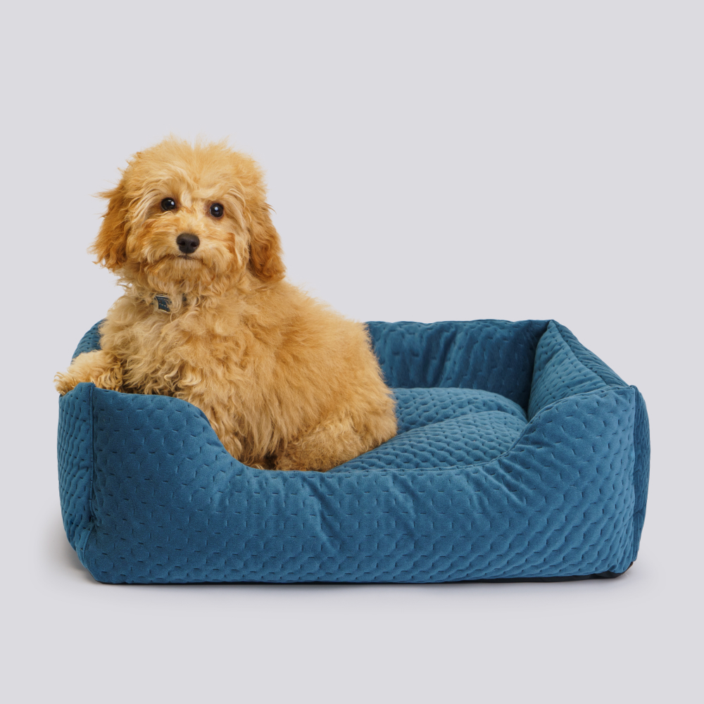 Rurri Лежак прямоугольный 60х50 см синий 1799₽