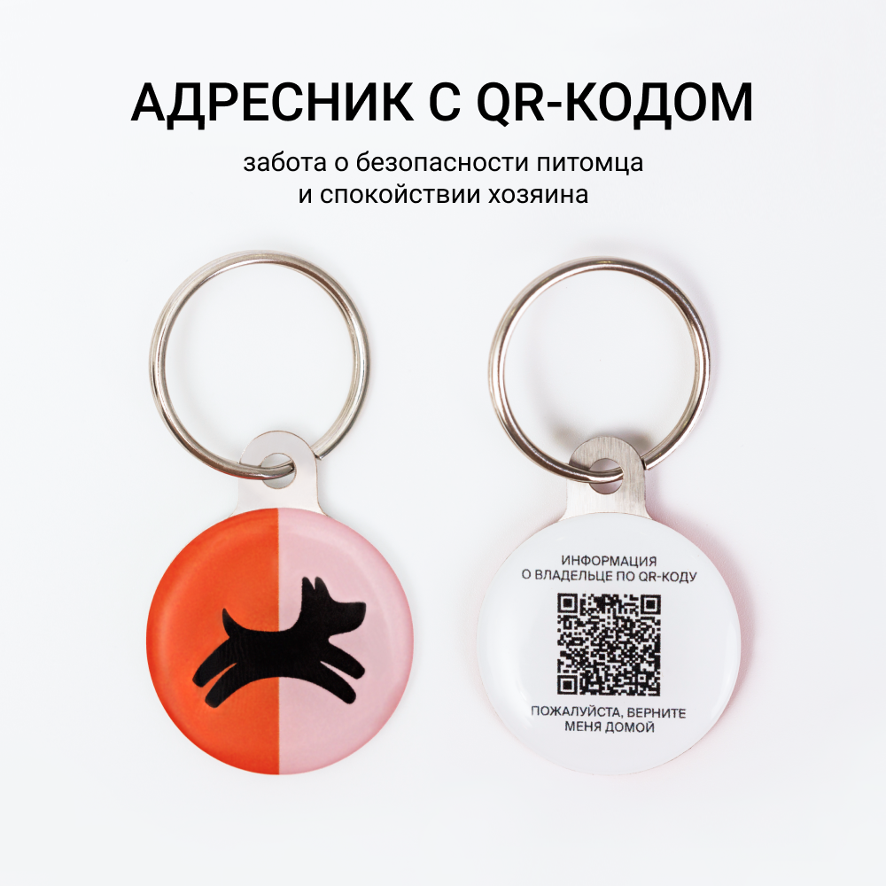 

Четыре Лапы Адресник с QR-кодом
