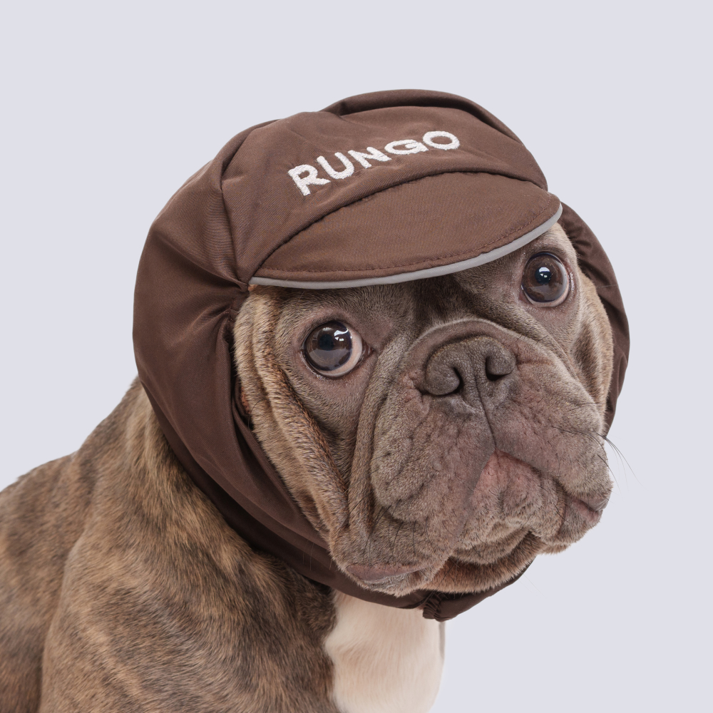 Rungo Шапка теплая для собак, XL, шоколад