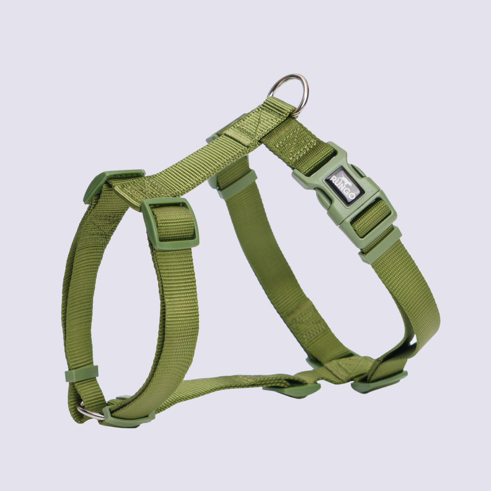 Rungo Шлейка Vario L25mm60-87cm зеленый 1219₽