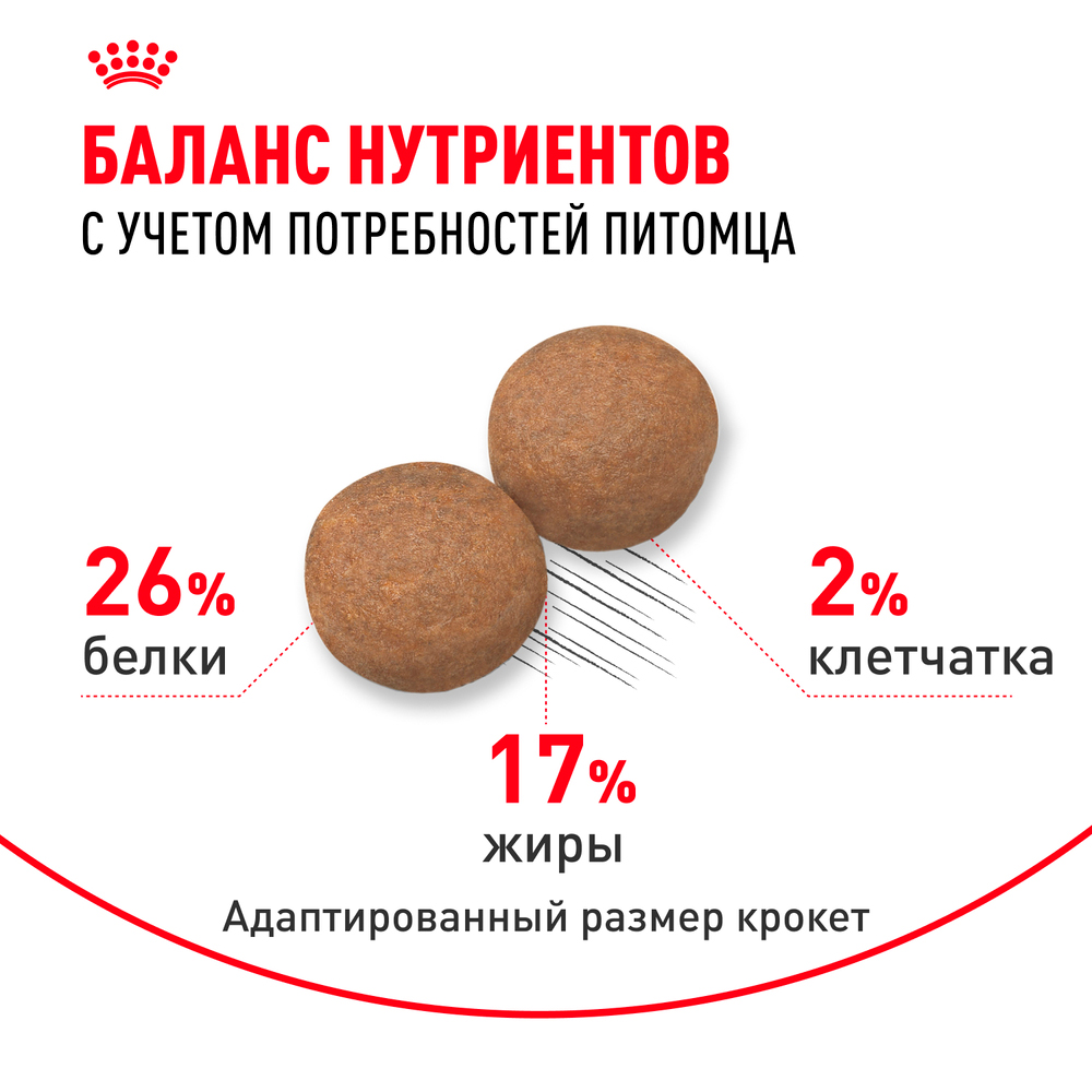 

Royal Canin Maxi Adult 26 Сухой корм для собак крупных размеров в возрасте от 15 месяцев до 5 лет, 15 кг
