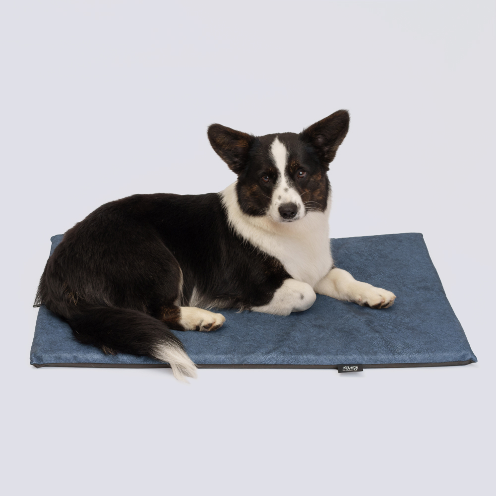 Rurri Матрас для кошек и собак мелких и средних пород 80х50х3 см синий 1299₽