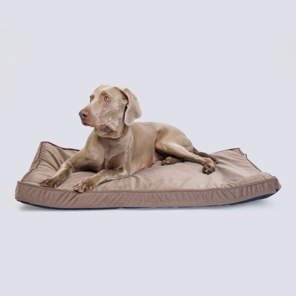 Rurri Матрас прямоугольный 100х70 см коричневый 2799₽