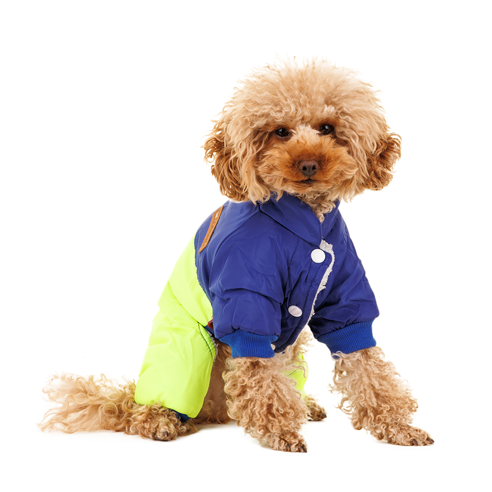 Petmax Комбинезон для собак XL зеленый унисекс 1299₽