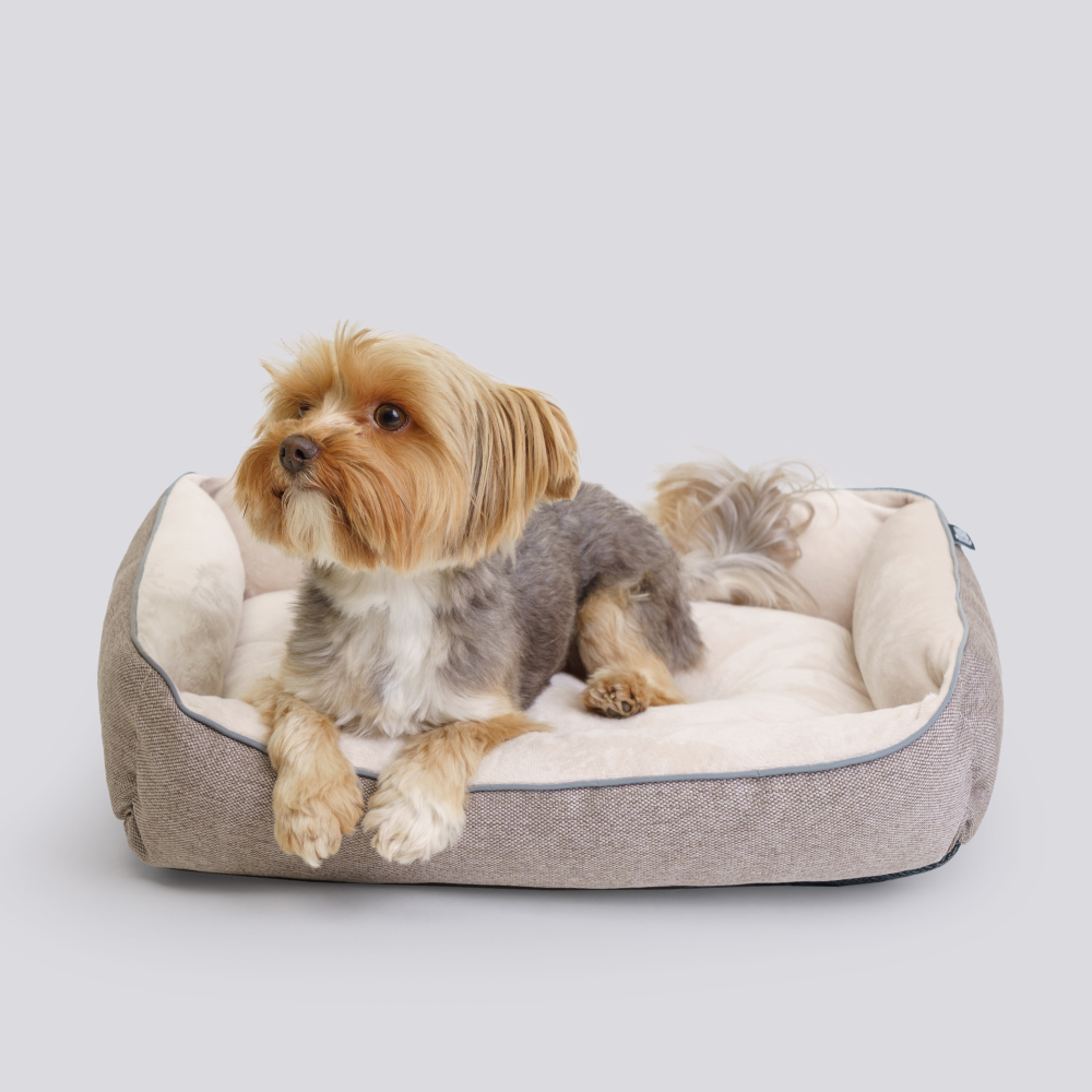 Rurri Лежак для кошек и собак мелких пород Лофт Фрейм 48х37х10 см бежевый 1399₽