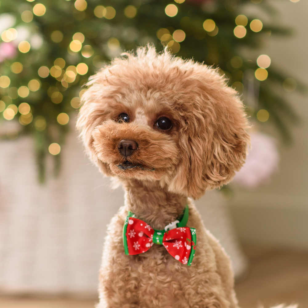 

Petmax Галстук-бант для собак и кошек Новогодние снежинки, 8х5,5 см, красный