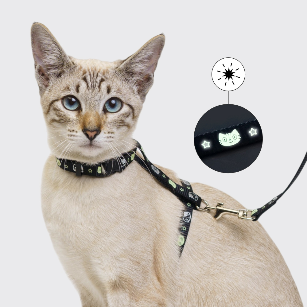 Petmax Шлейкаповодок для кошек 10мм37см черный 677₽