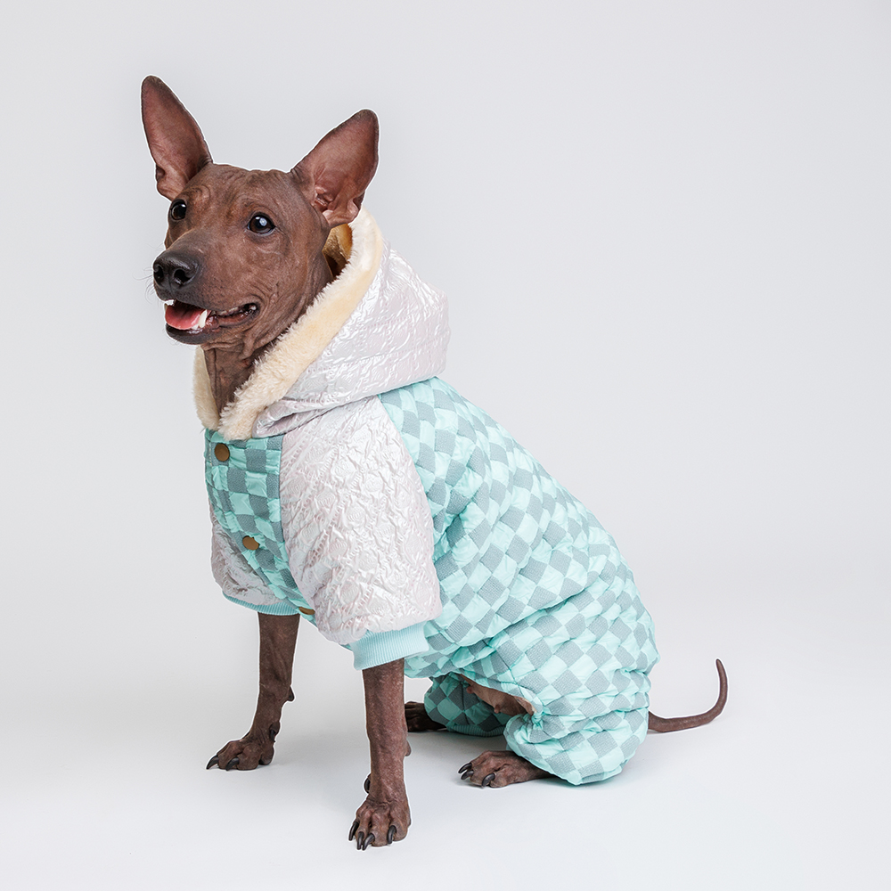 

Petmax Комбинезон с капюшоном для собак, 2XL, бирюзовый (девочка)