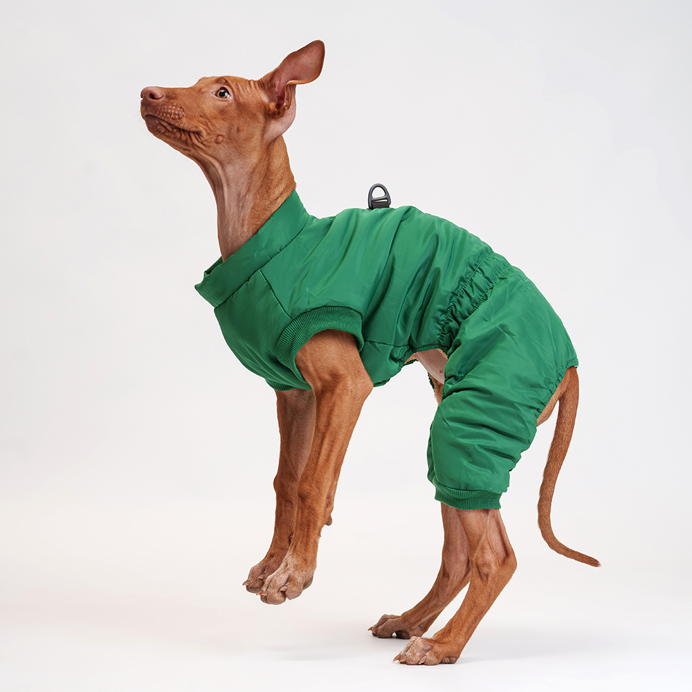 Petmax Комбинезон на замке для собак 2XL зеленый 1399₽