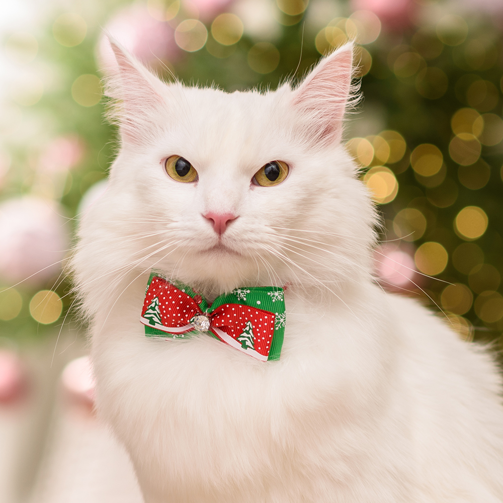 

Petmax Галстук-бант для собак и кошек Новогодняя елка, 7,5х4 см, красный