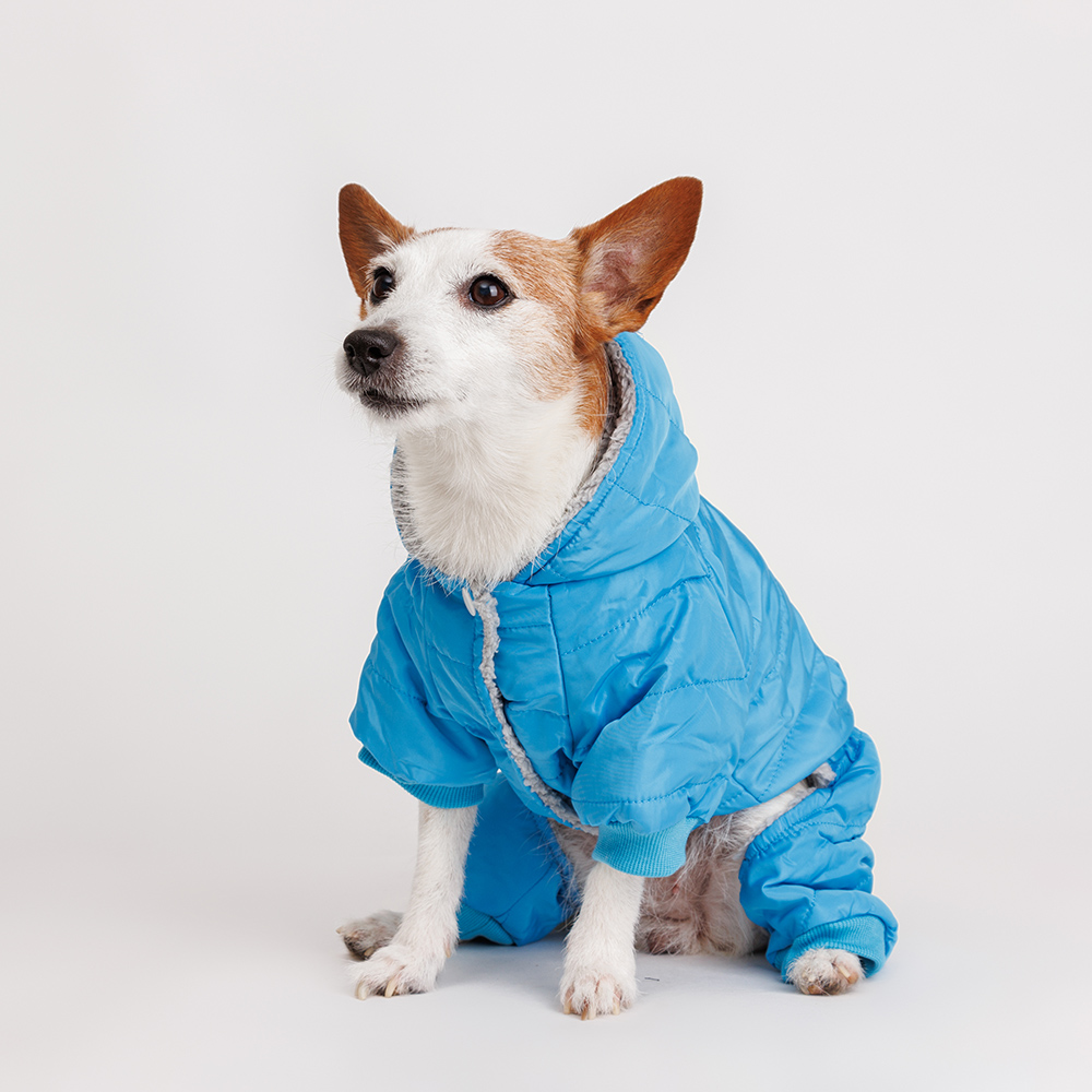 Petmax Комбинезон для собак L голубой 1499₽