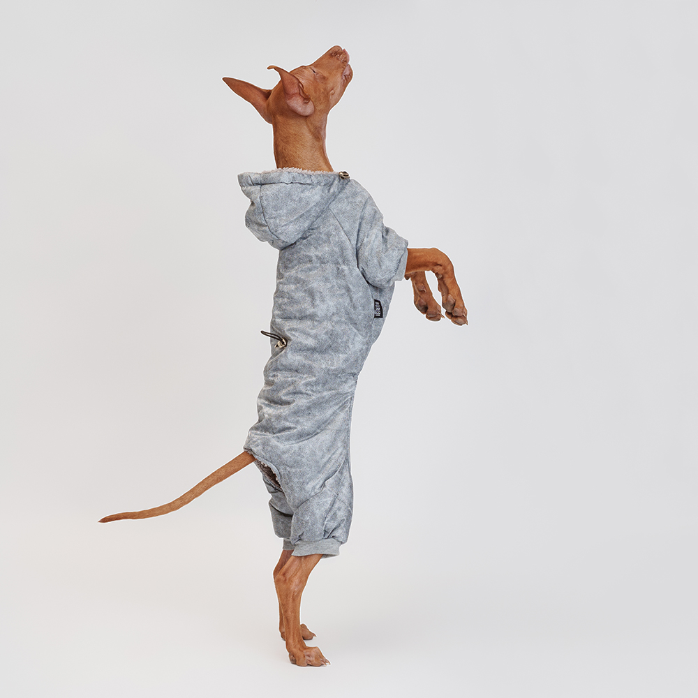 Rurri Комбинезон с капюшоном для собак XL серый 1699₽