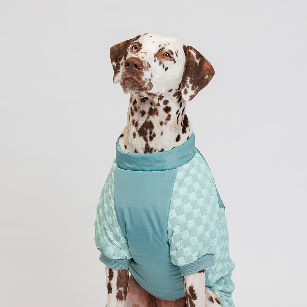 Petmax Комбинезон на замке для собак 4XL голубой девочка 1499₽