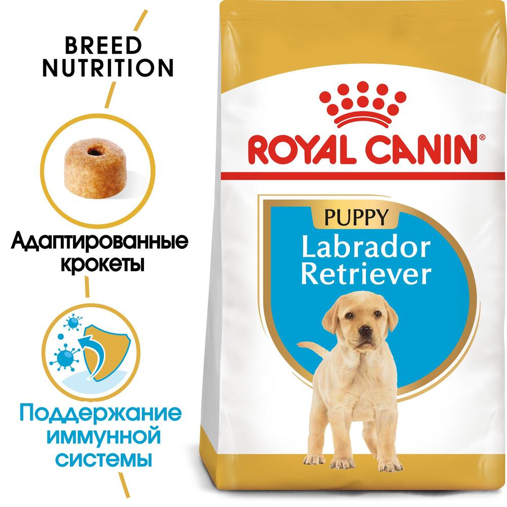 

Royal Canin Labrador Retriever Puppy 33 Сухой корм для щенков породы лабрадор-ретривер в возрасте до 15 месяцев, 12 кг