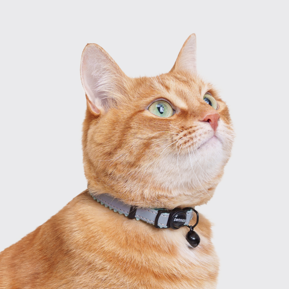 Petmax Ошейник для кошек Reflect обхват шеи 30 см ширина 1 см черно-голубой 259₽