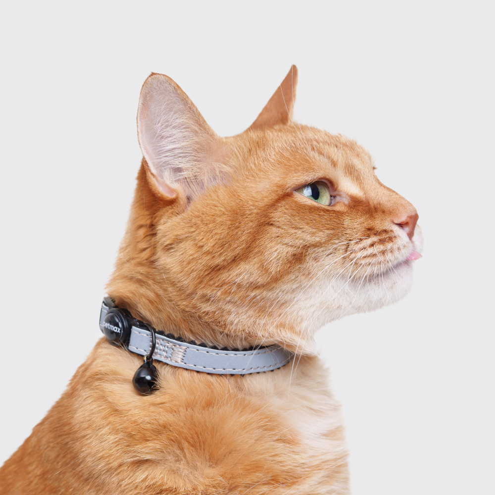 Petmax Ошейник для кошек Reflect обхват шеи 30 см ширина 1 см черно-серый 259₽