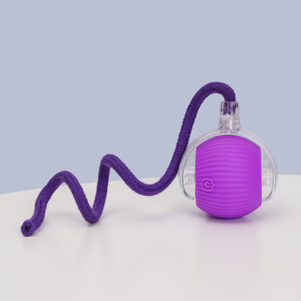 HiPet Игрушка для кошек интерактивная Мяч с хвостом диаметр шарика 6 см длина хвоста 34 см 549₽