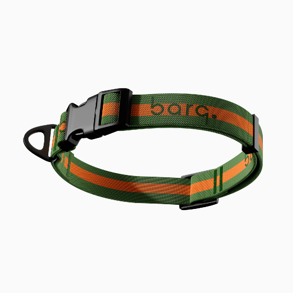 

Barq Ошейник для собак Stripes Sling Green Mandarin, S-M, обхват шеи 28-44 см, зелено-оранжевый