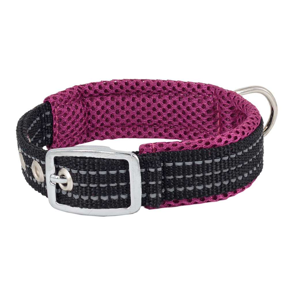 Каскад Ошейник нейлоновый с мягкой подкладкой 25мм39-45см фиолетовый 495₽