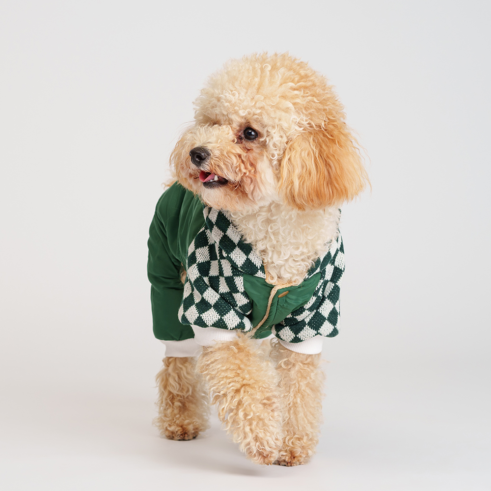 Petmax Комбинезон с капюшоном для собак XL зеленый унисекс 1549₽