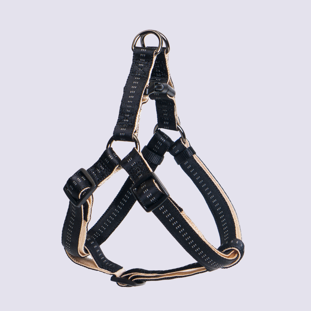 Rungo Шлейка Step-in Downtown L: 25mmx65-80cm черный с бежевым