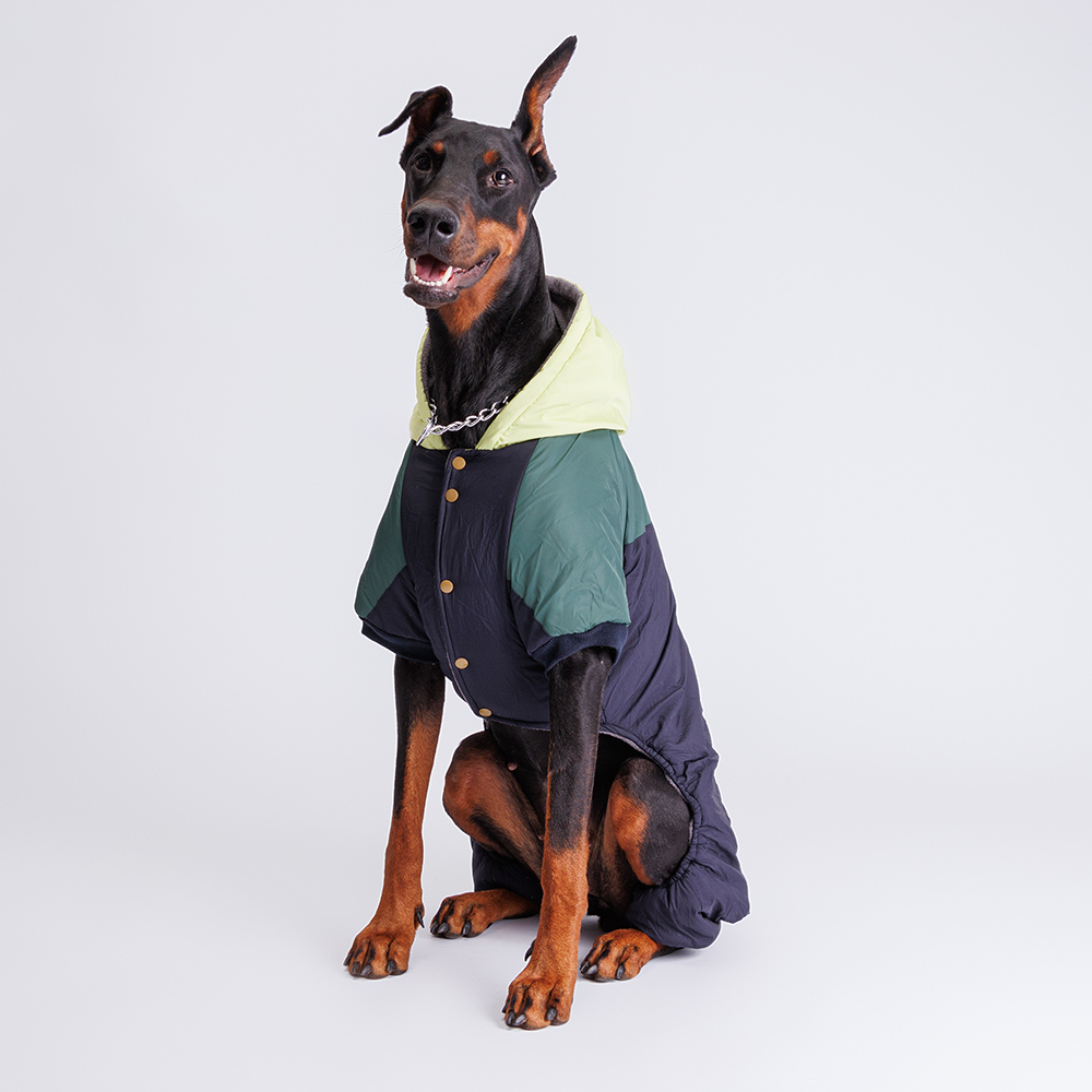 

Petmax Комбинезон с капюшоном для собак, 5XL, сине-зеленый