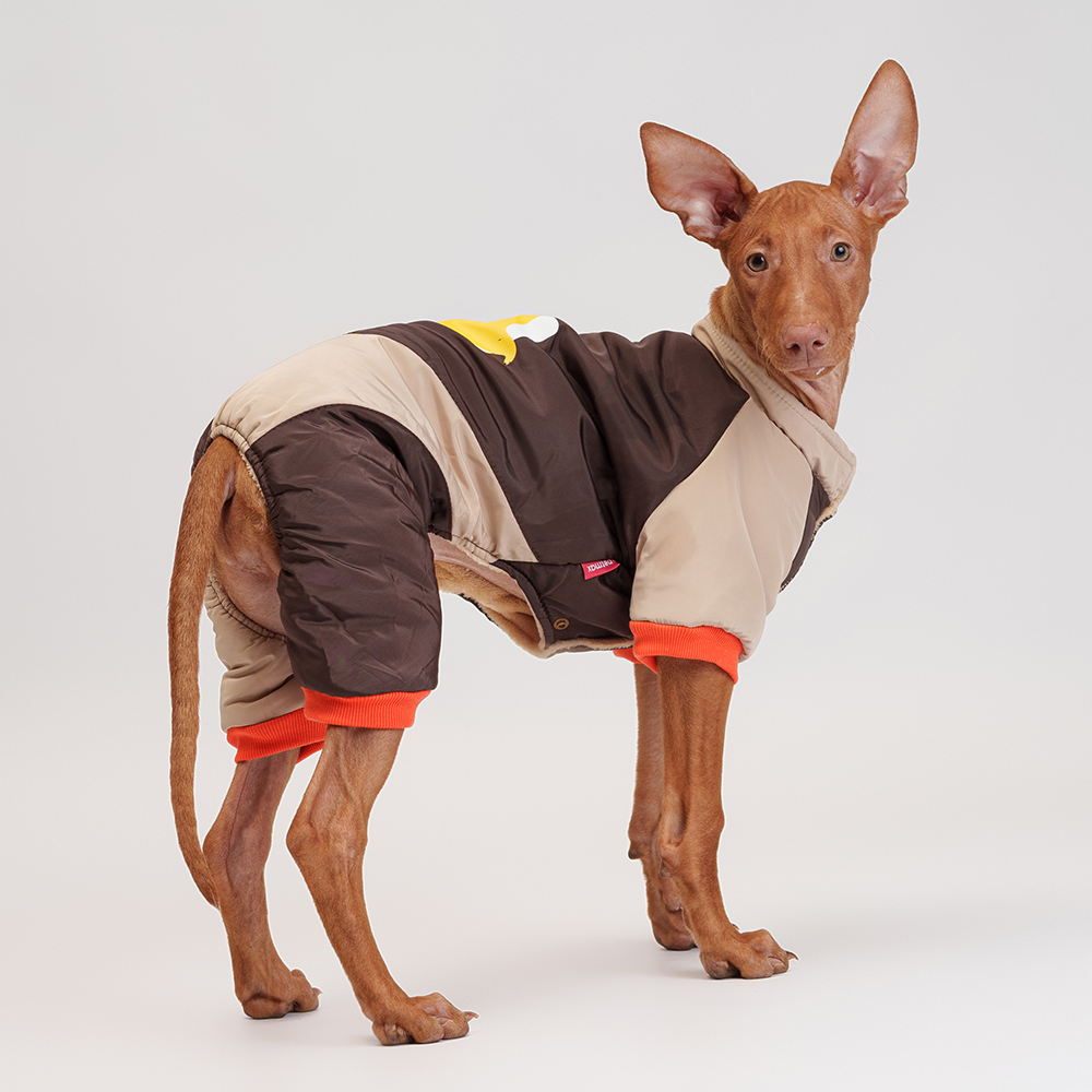 Petmax Комбинезон с медведем для собак 2XL 1599₽