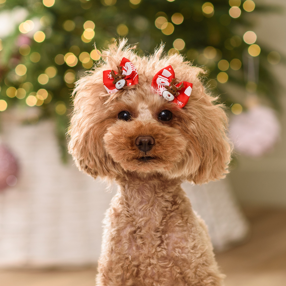 

Petmax Бантики с оленем для собак и кошек, красные, 4х3,5 см, 2 шт.