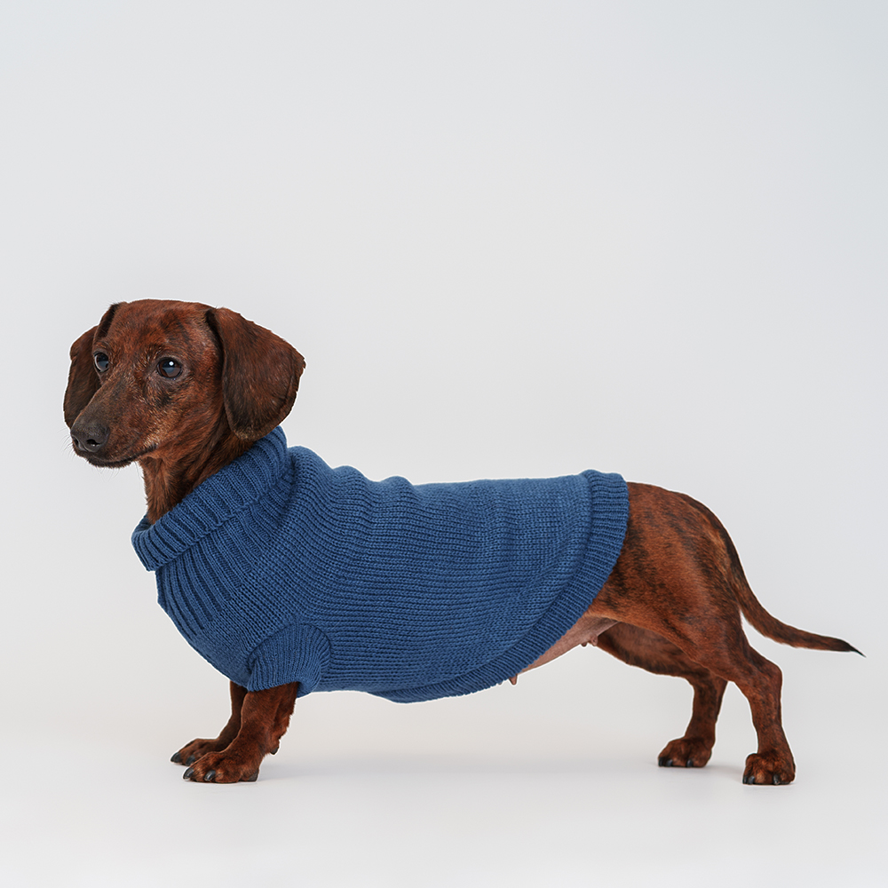 

Petmax Свитер для кошек и собак, XS, синий