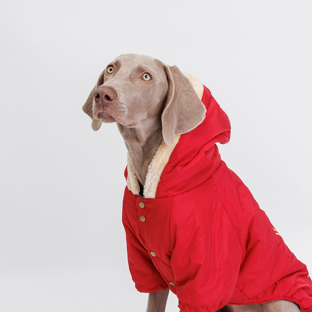 

Petmax Комбинезон с оленем для собак, 4XL, красный