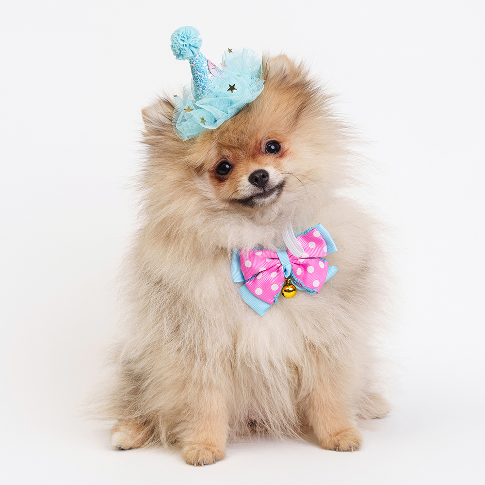 Rurri Колпакбант Happy Birthday голубой 779₽