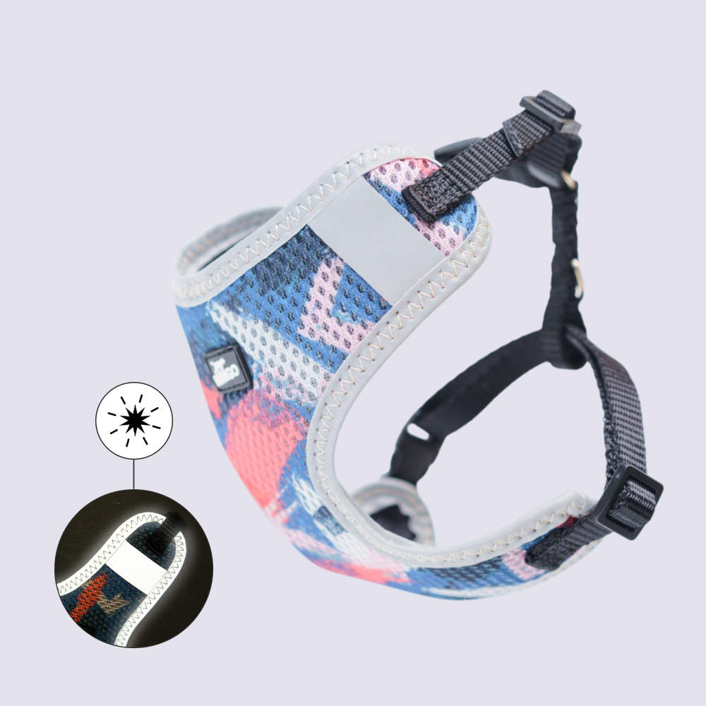 Rungo Шлейка Comfort XXS 10mm*22-33cm красный с голубым