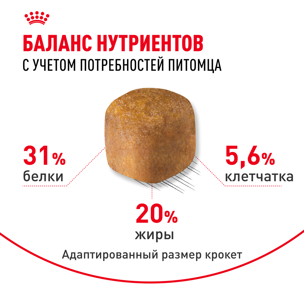 

Royal Canin Maine Coon Adult Сухой корм для взрослых кошек породы мейн-кун, 10 кг