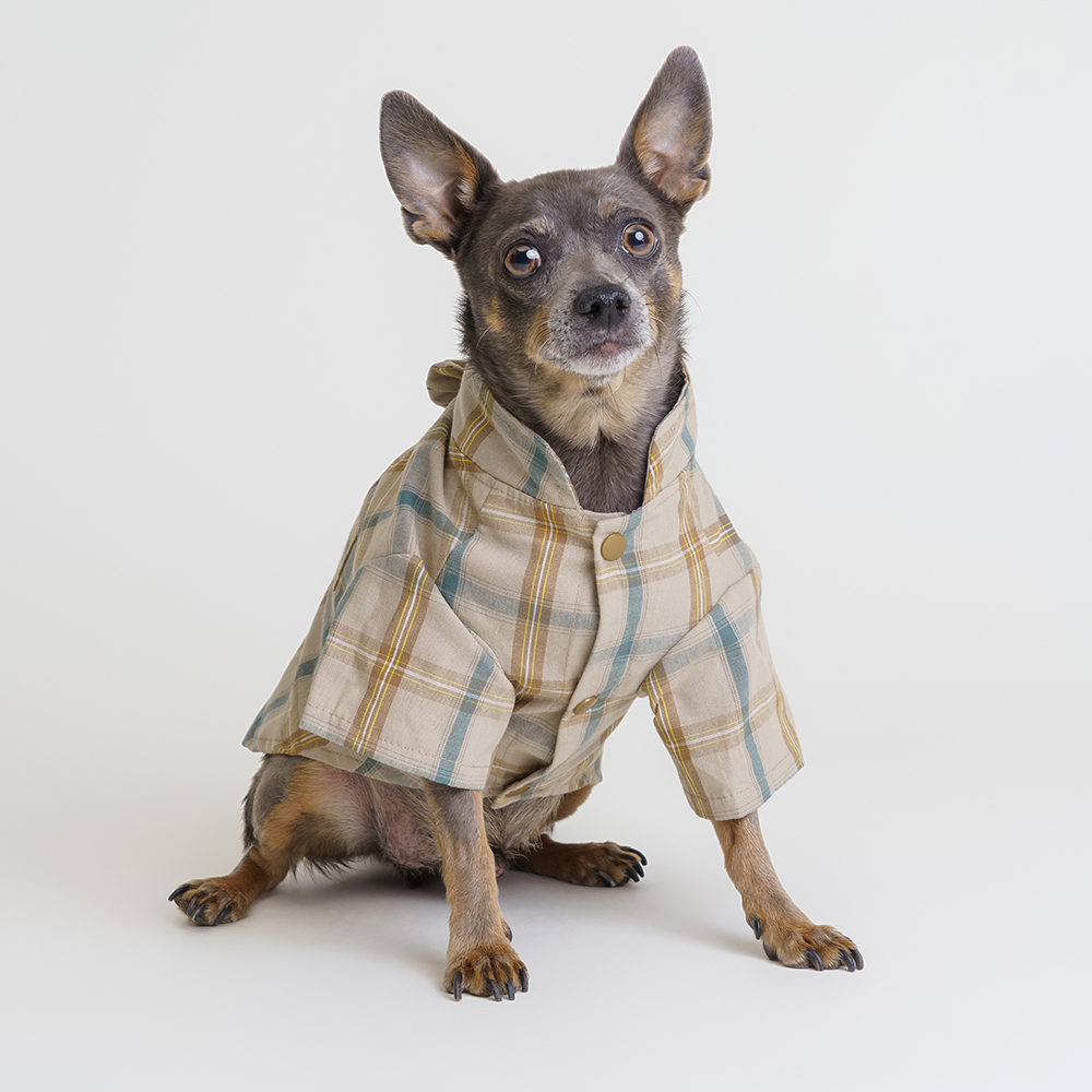 Rurri Рубашка кофейная с бантом M 677₽