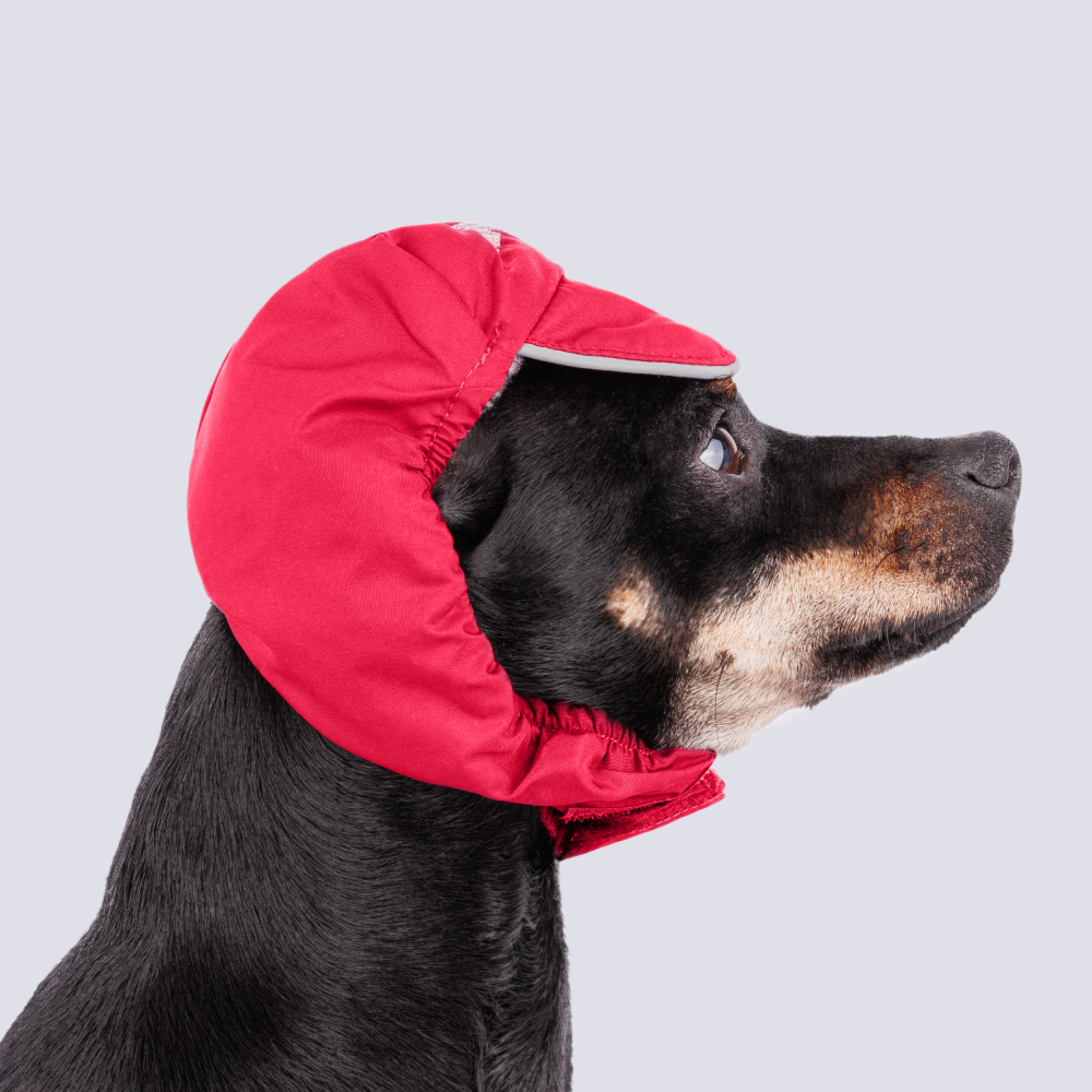 Rungo Шапка M теплая голубая