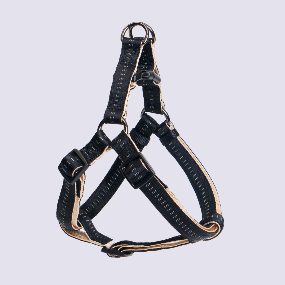 Rungo Шлейка Step-in Downtown M: 20mmx50-65cm черный с бежевым