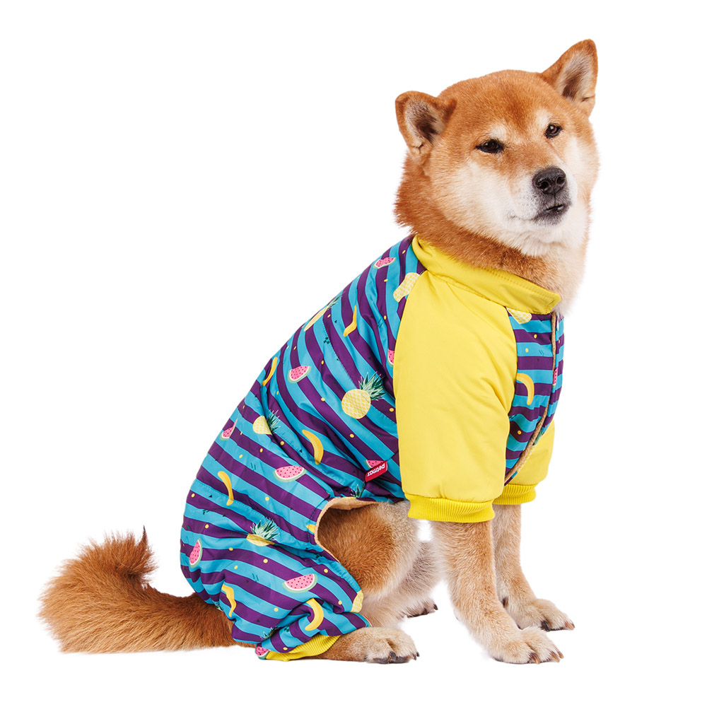 Petmax Комбинезон в полоску с фруктами для собак 2XL голубой унисекс 1199₽