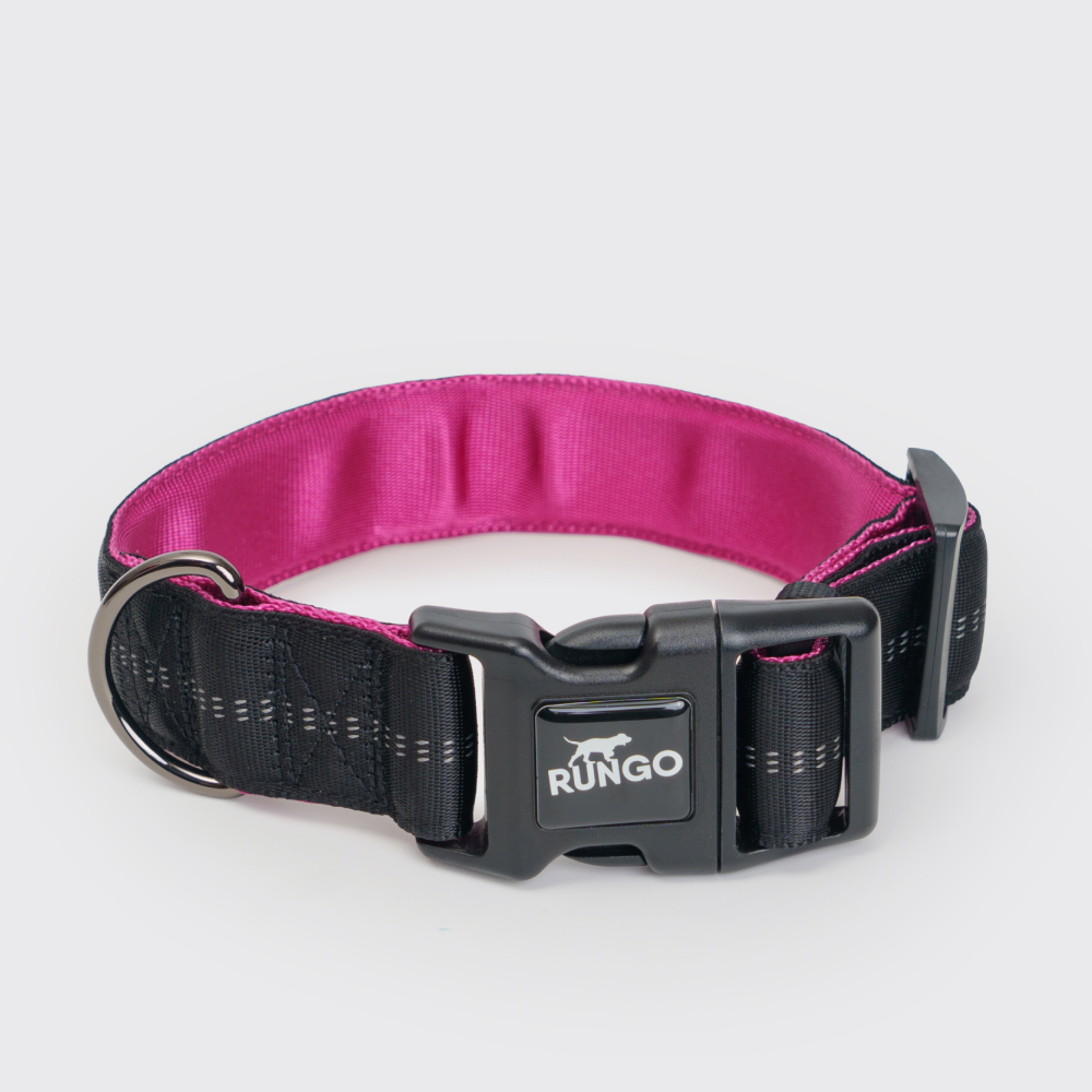 Rungo Ошейник Downtown Extra Wide S-M 3245cm38mm черный с орхидеей 683₽