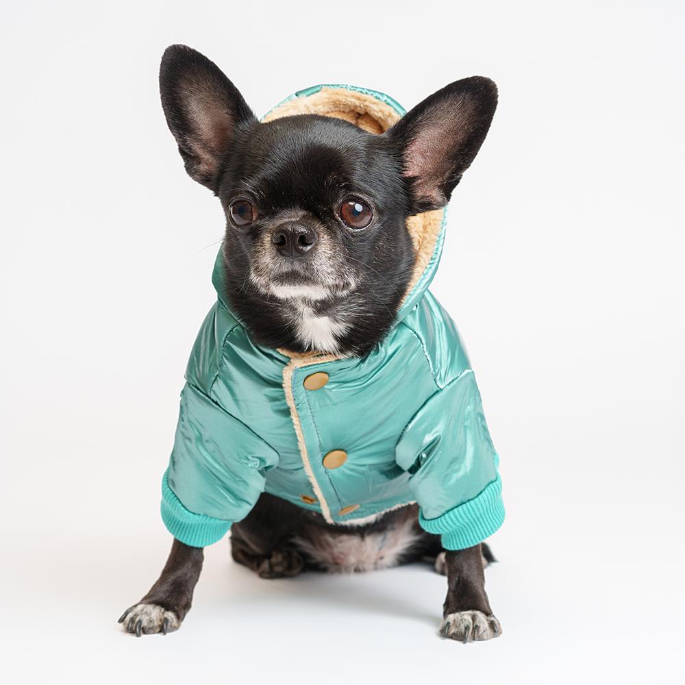 Petmax Куртка с капюшоном для собак S зеленая 1399₽