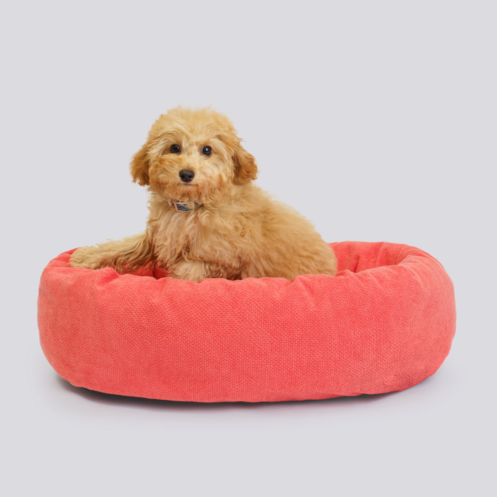 Rurri Лежанка овальная 61х48 см оранжевый 2399₽