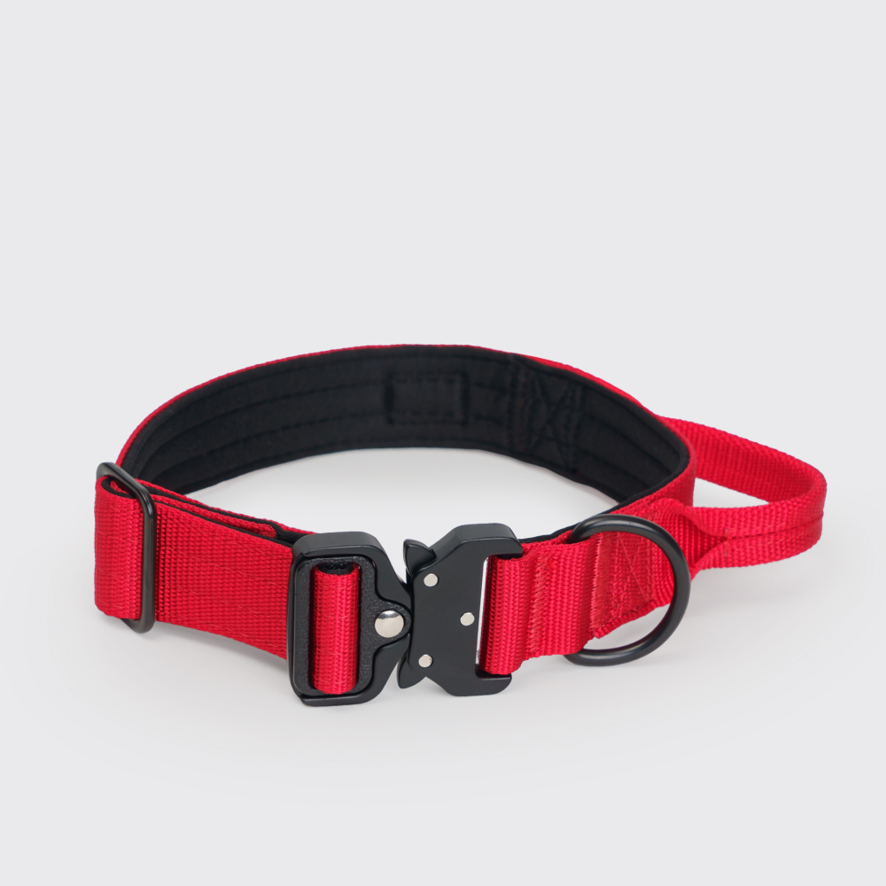 Rungo Ошейник K-9 с ручкой M 32mm38-48cm красный 1599₽