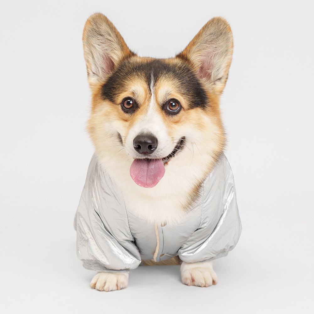 Petmax Комбинезон с капюшоном для собак 4XL серебряный мальчик 1499₽