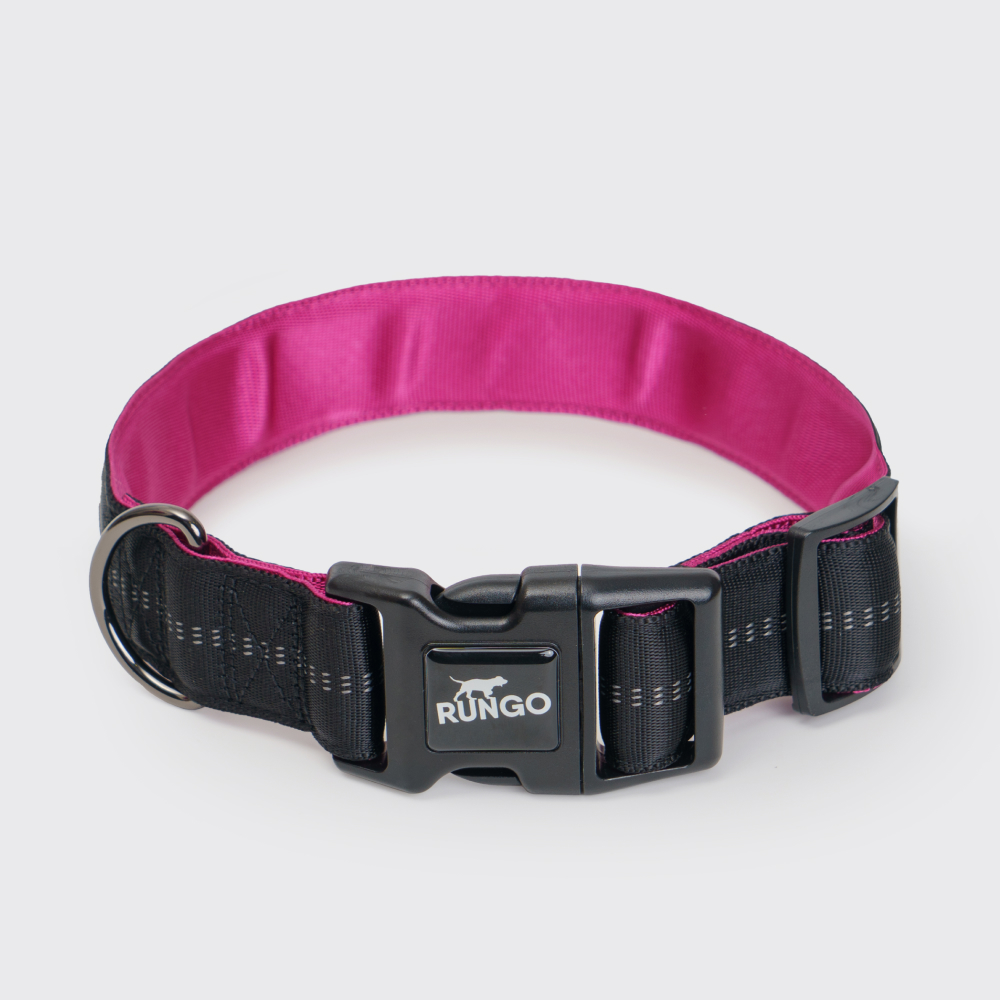 Rungo Ошейник Downtown Extra Wide L-XL 5570cm38mm черный с орхидеей 735₽