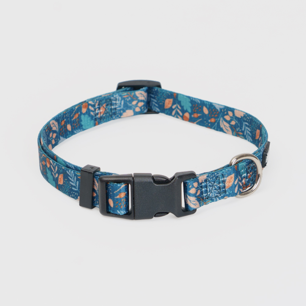 Rungo Ошейник 15мм30-45см цветочный синий 299₽