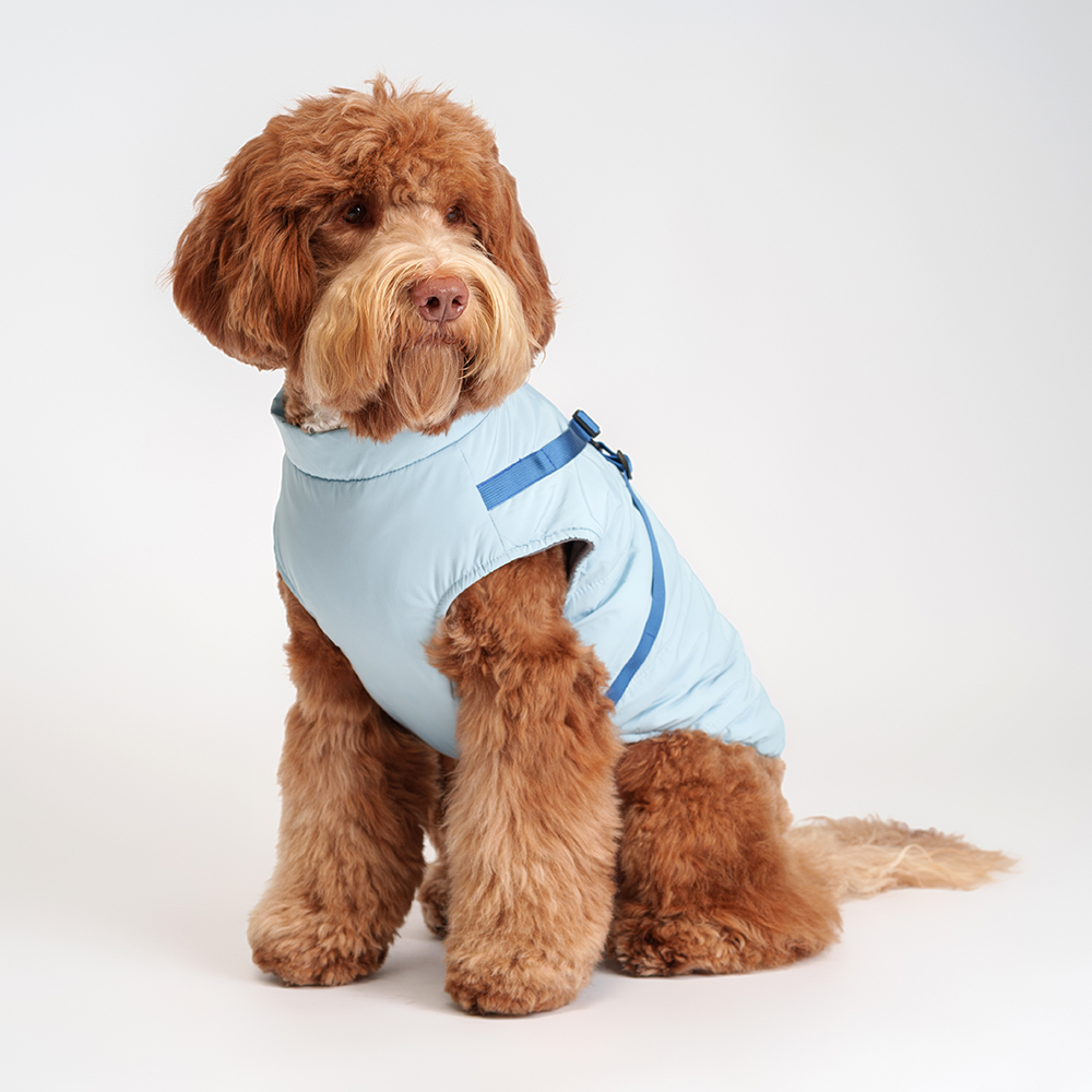 

Rurri Куртка со шлейкой для собак, 5XL, голубая