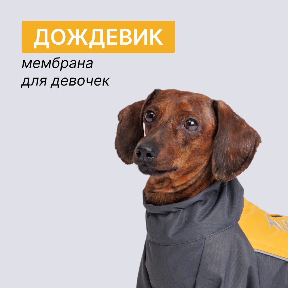

Rungo Дождевик Такса кроличья девочка десертная роза