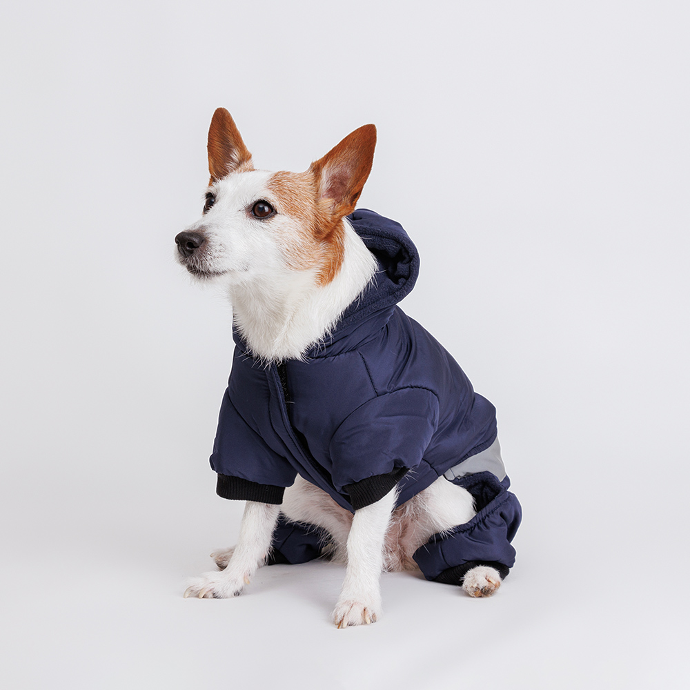 Rurri Комбинезон для собак L синий 1599₽